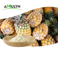 Frisches Fruchtsaftkonzentrat in Lebensmittelqualität Ananas-Pulver